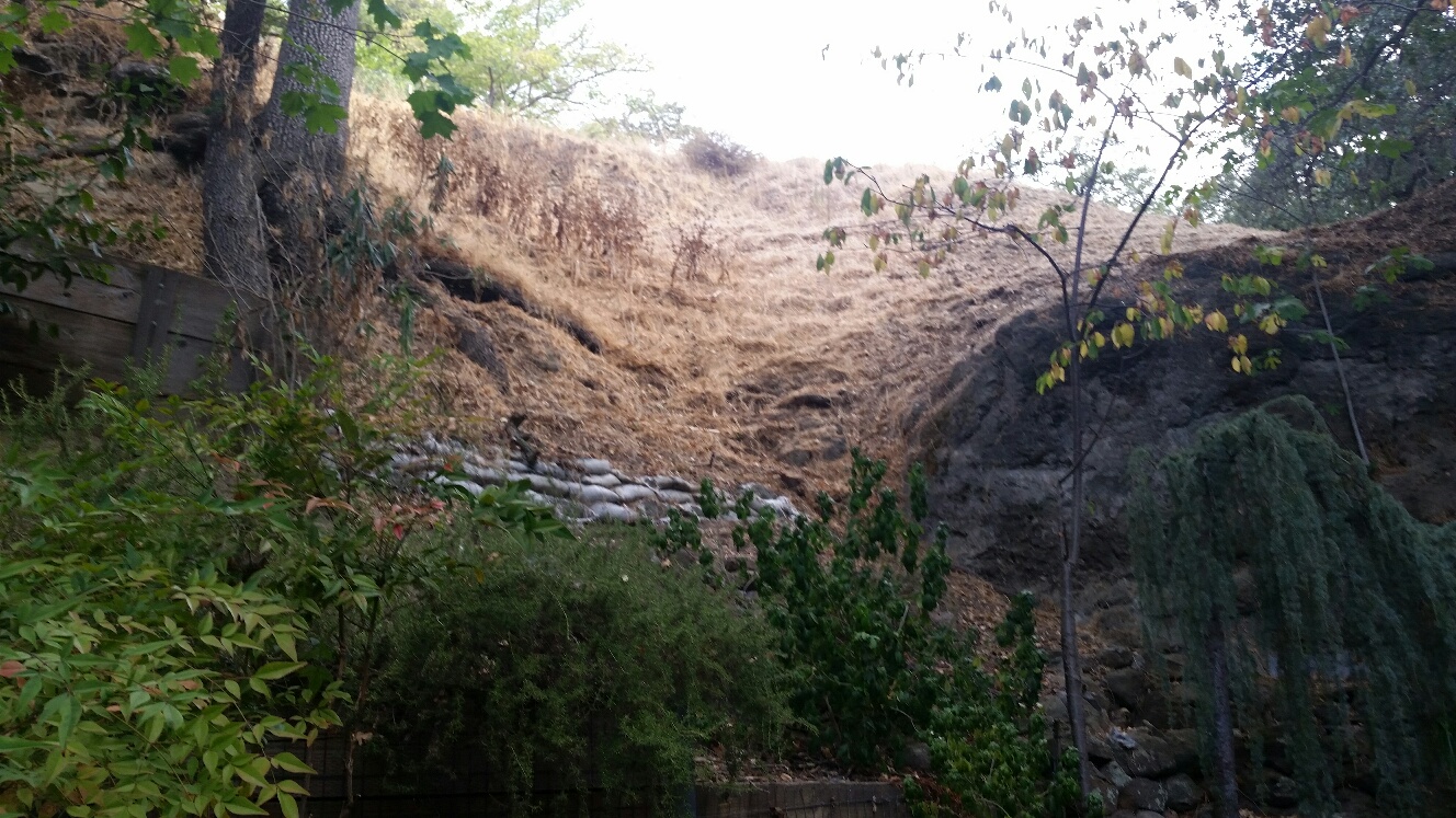 Soil erosion on the hill behind the residence.